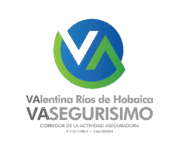 VaSeguirisimo Asesores